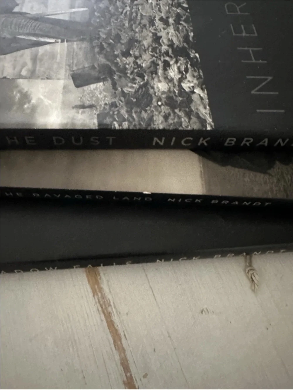 3 Nick Brandt Coffee Table Photo Book Set collection signed picture books